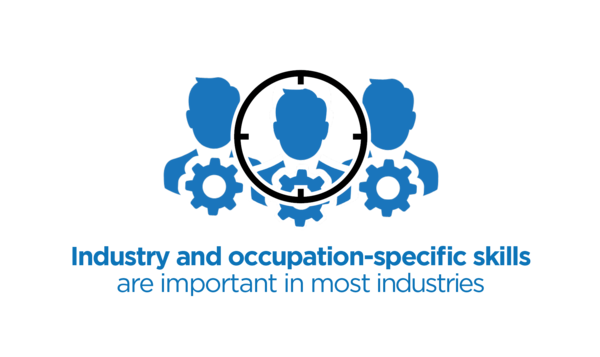 Industry and occupation-specific skills are important in most industries